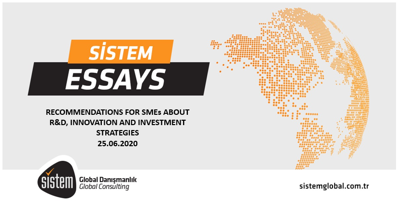 Sistem Global Danışmanlık Recommendations For Smes About R&Amp;D, Innovation And Investment Strategies