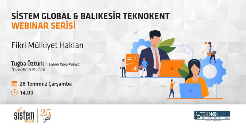 Sistem Global Danışmanlık Fikri Mülkiyet Hakları