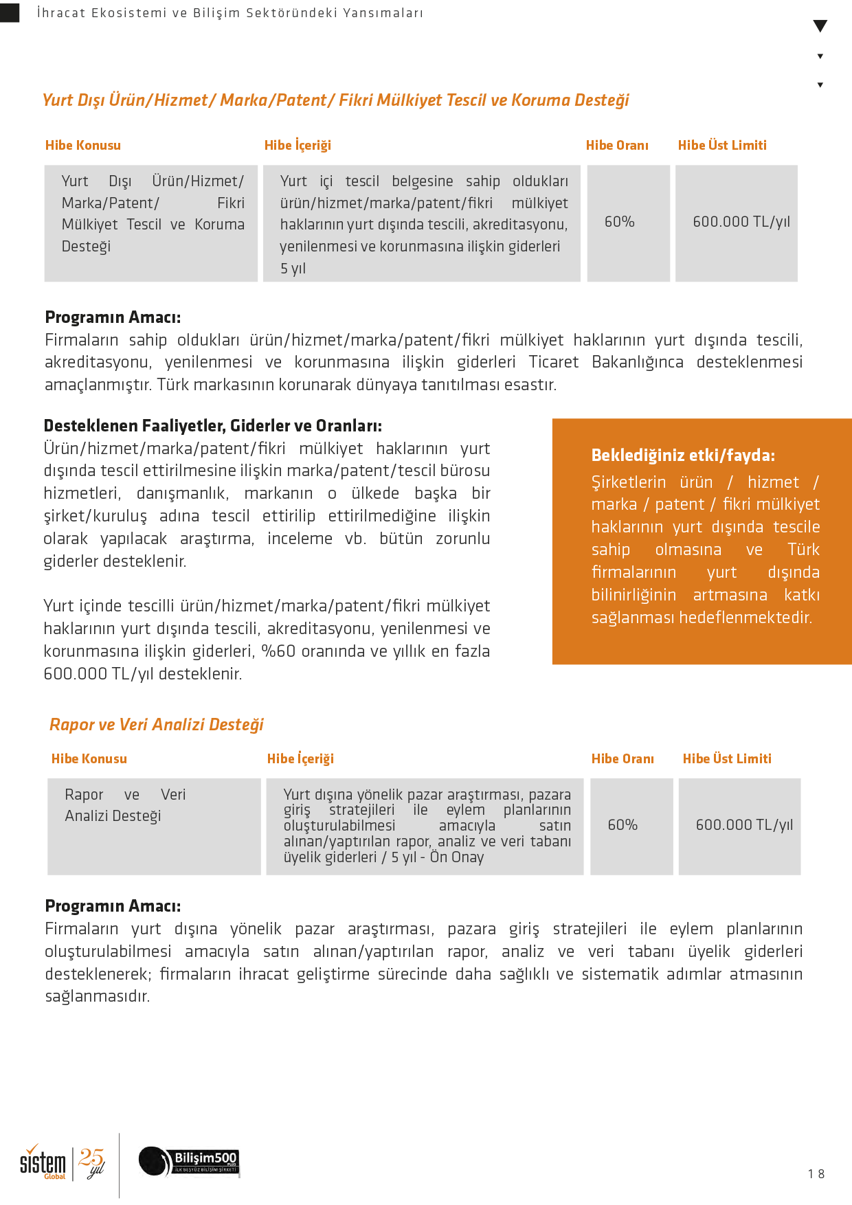 İhracat Ekosistemi ve Bilişim Sektörüne Yansımaları