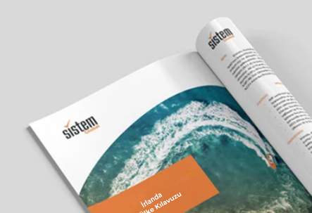 Sistem Global Danışmanlık İrlanda Şirket Kuruluşu Kılavuzu