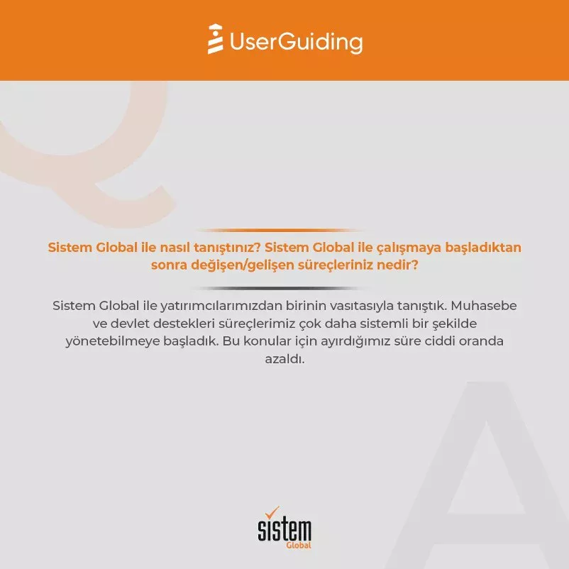 Sistem Global Danışmanlık UserGuiding3