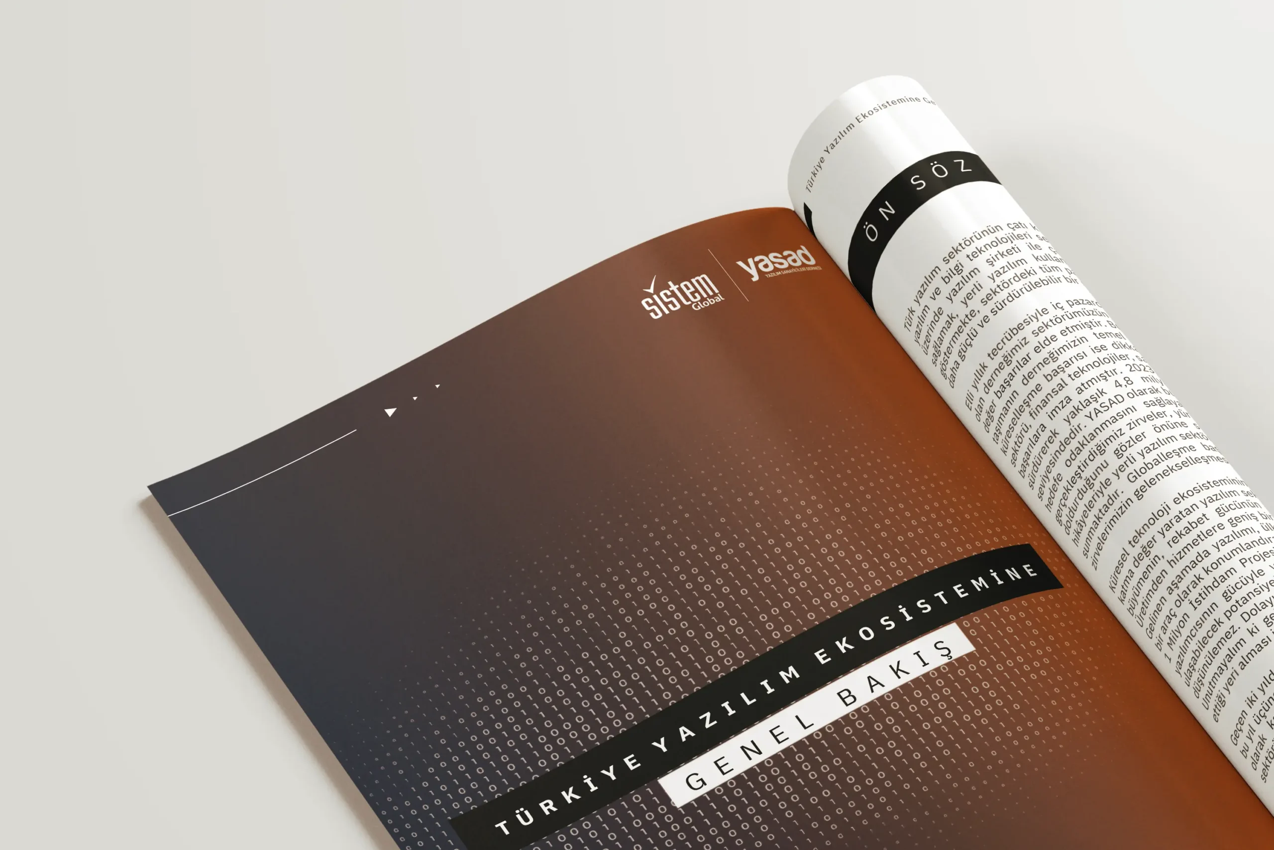 website-rapor-görseli 1